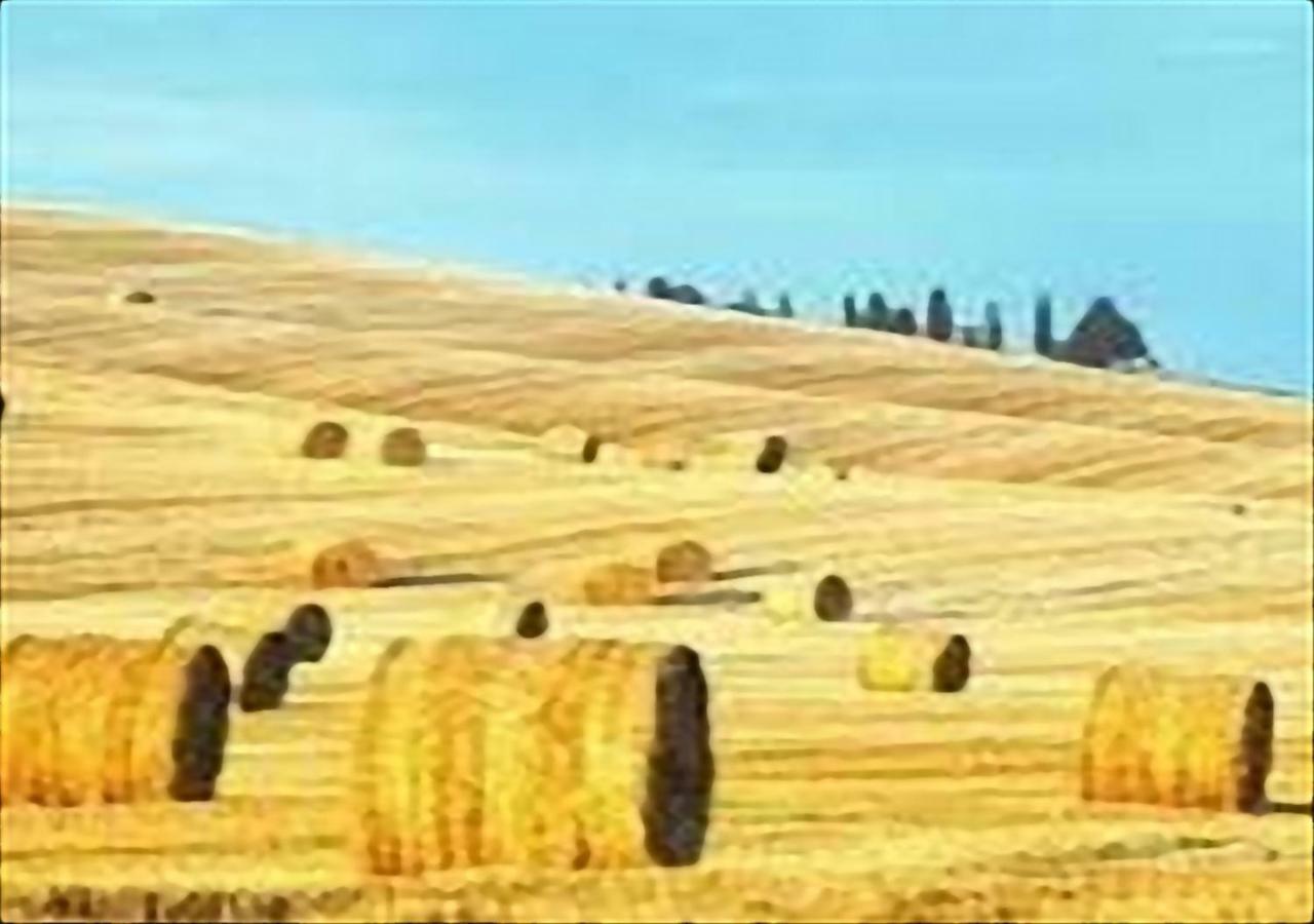La Casa Di Nena Διαμέρισμα Vivo dʼOrcia Εξωτερικό φωτογραφία