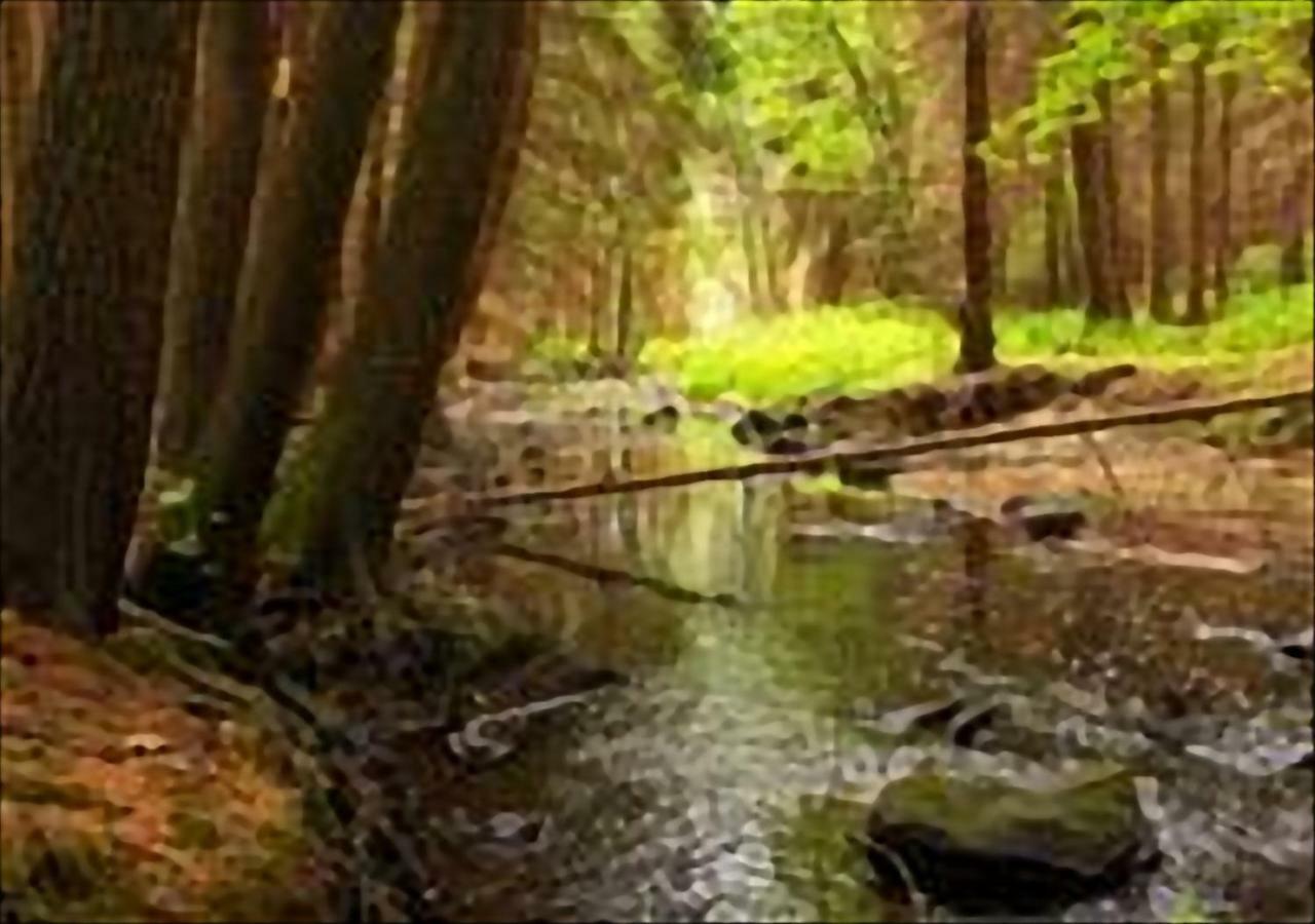 La Casa Di Nena Διαμέρισμα Vivo dʼOrcia Εξωτερικό φωτογραφία